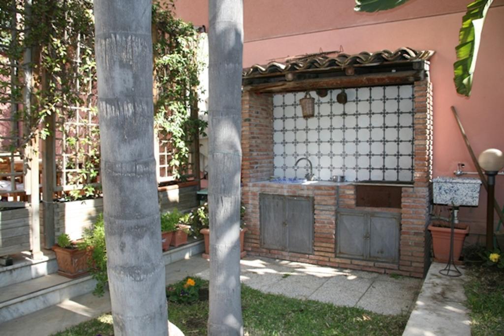 Cocus Catania